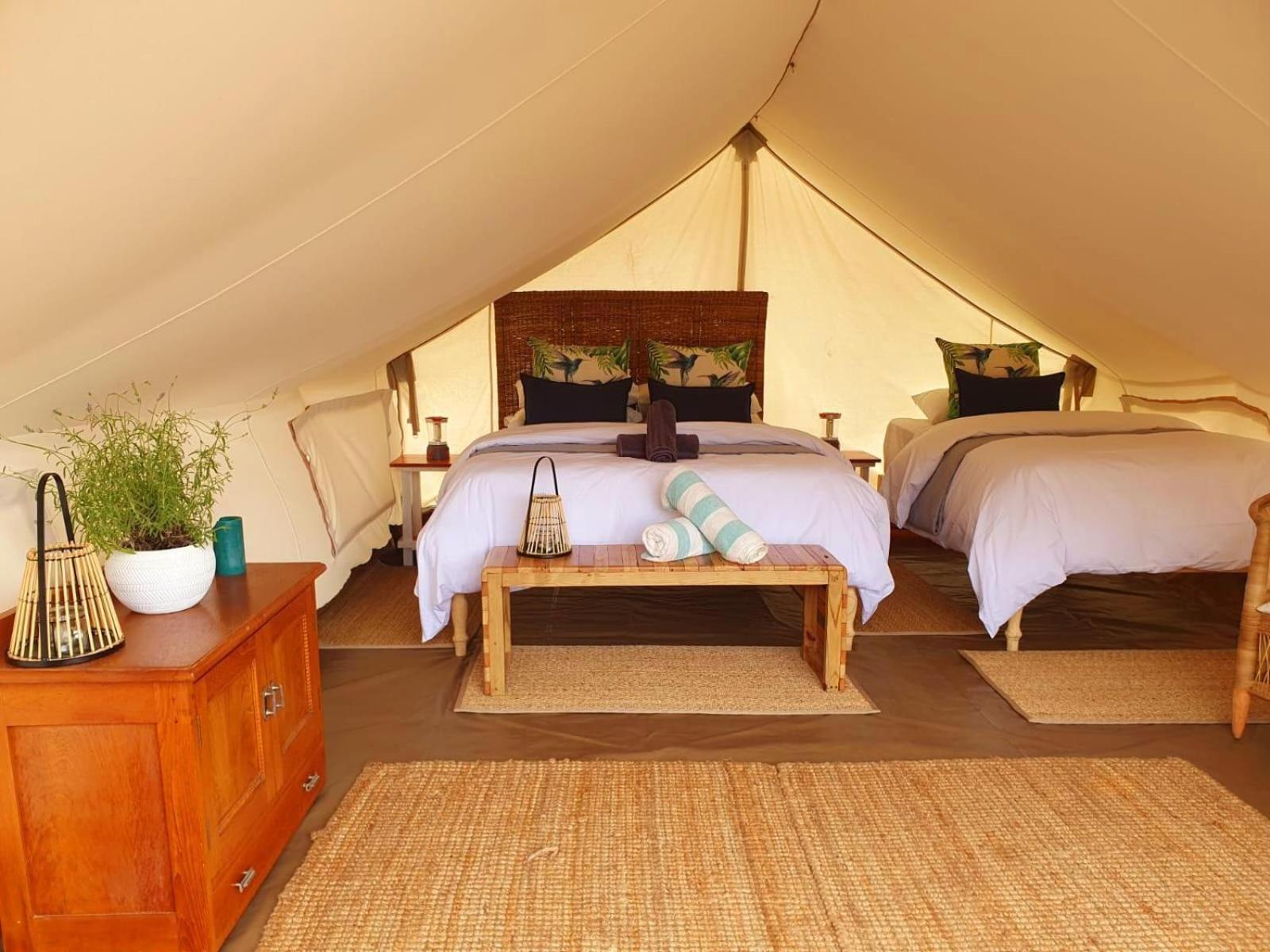 Leopard Valley Eco Retreat Citrusdal Bilik gambar