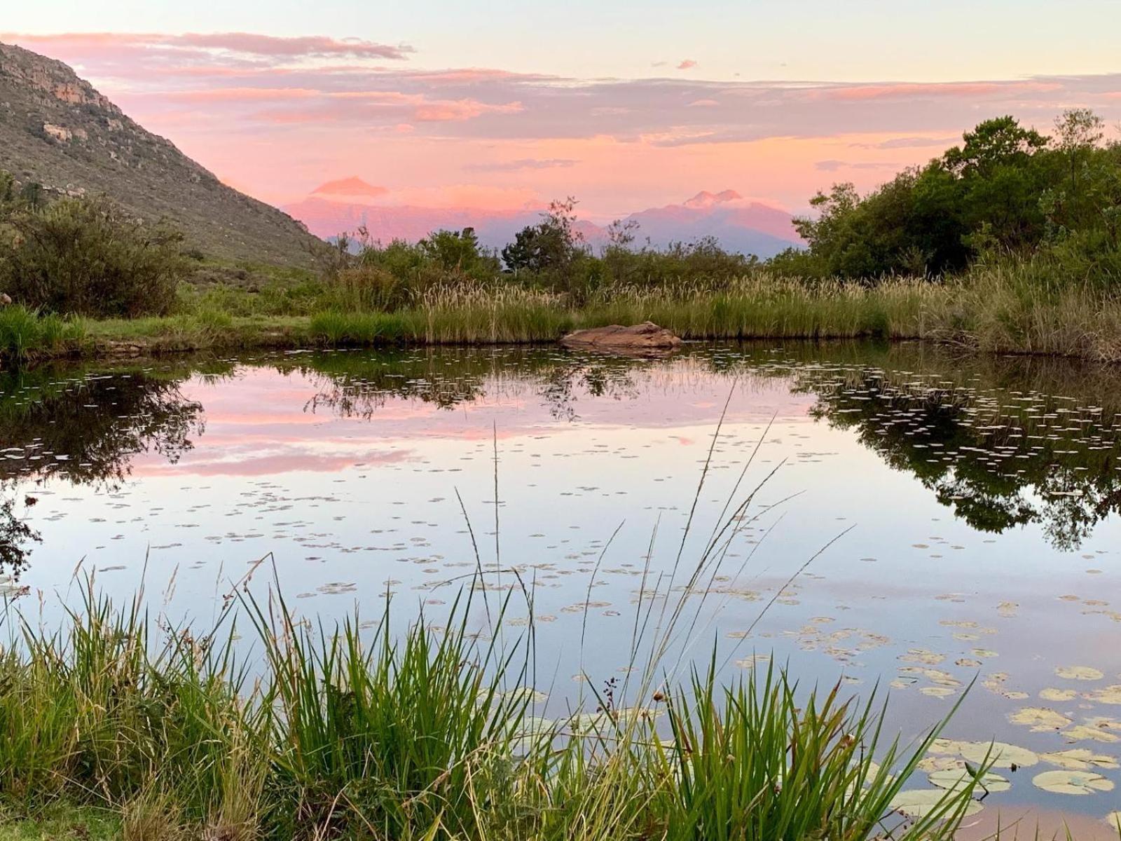 Leopard Valley Eco Retreat Citrusdal Luaran gambar