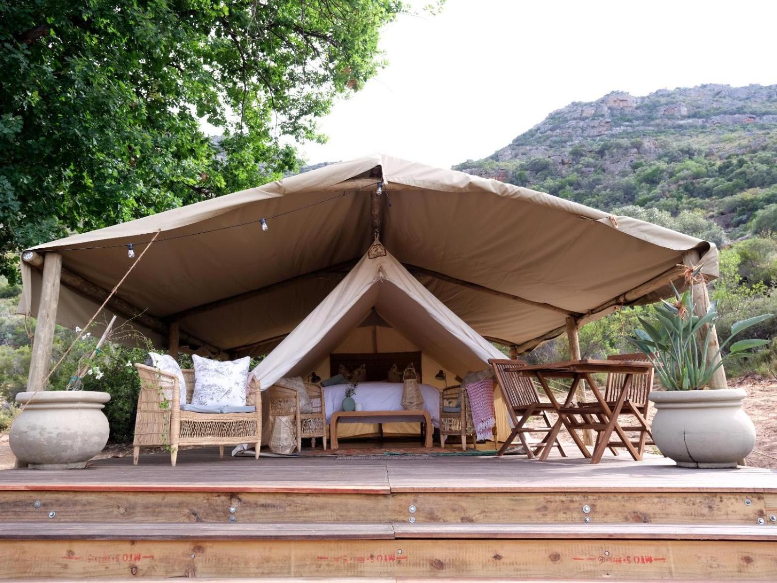 Leopard Valley Eco Retreat Citrusdal Bilik gambar