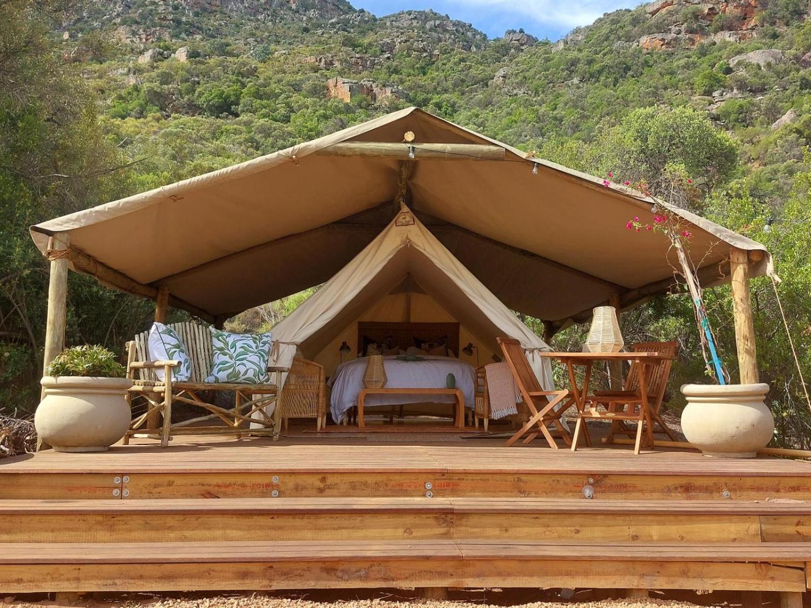 Leopard Valley Eco Retreat Citrusdal Bilik gambar